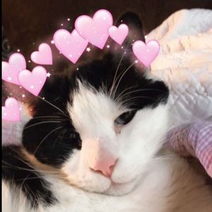 Meet your Posher, Susan